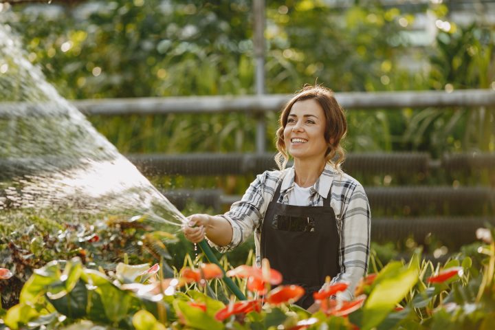 Sie brauchen einen Gartenschlauch? Hier erfahren Sie, wie Sie einen auswählen